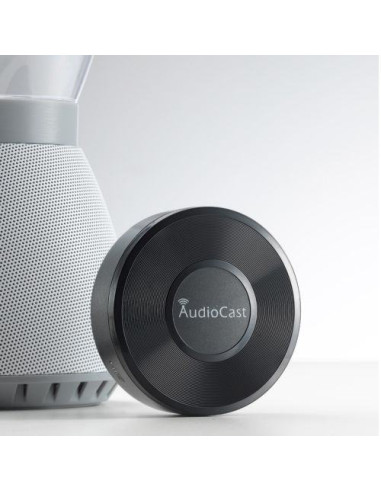 iEast AudioCast M5 Wireless Multi Room Audio Adapter