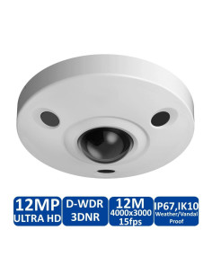 4K 12MP Vandal-Proof Fisheye IP Camera