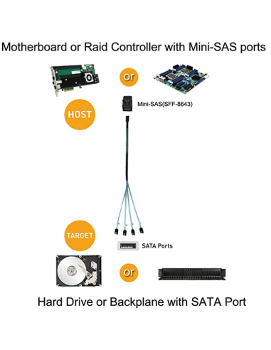 SFF-8643-HOST | Buy ASRock Rack Internal HD Mini SAS (SFF-8643 Host ...