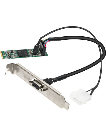 ASRock M2_VGA VGA Module M.2 2280 B+M ASRock Motherboards