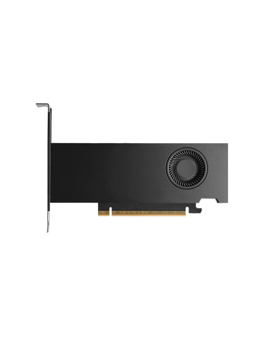 NVIDIA RTX PRO 2000 Blackwell 16GB GDDR7 Professional Graphics Card