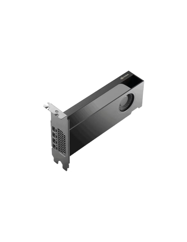 NVIDIA RTX PRO 2000 Blackwell |NVIDIA RTX PRO 2000 Blackwell 16GB GDDR7 Professional Graphics Card | WISP Australia